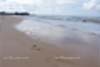 beach_photos_006