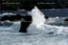 beach_photos_008