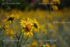 sedona_photos_003